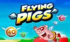 Flying Pigs slot game