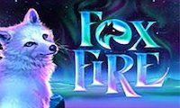 Fox Fire by High 5 Games