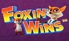Foxin Wins slot game