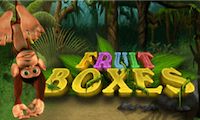 Fruit Boxes by Amatic Industries