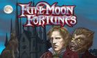 Fulloon Fortunes slot game