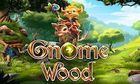 Gnome Wood slot game