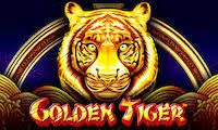 Golden Tiger slot by iSoftBet