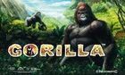 Gorilla slot game