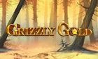 Grizzly Gold slot game