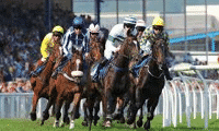 Horse Racing slots