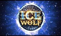Ice Wolf by Elk Studios