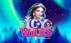 Icy Wilds slot game