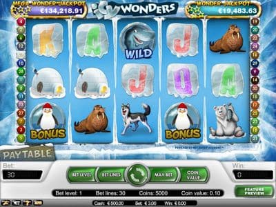Icy Wonders screenshot