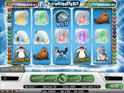 Icy Wonders screenshot
