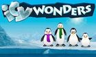 Icy Wonders slot game