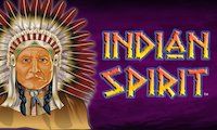 Indian Spirit slot by Novomatic