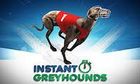 Instant Greyhounds slot game