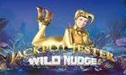 Jackpot Jester Wild Nudge slot game