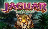 Jaguarist by Aristocrat