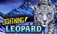 Lightning Leopard by Lightning Box