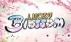 Lucky Blossom slot game