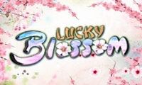 Lucky Blossom slot by Eyecon