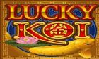 LUCKY KOI slot by Microgaming