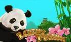 Lucky Panda slot game