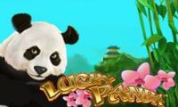 Lucky Panda by Playstar