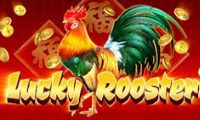 Lucky Rooster by High 5 Games