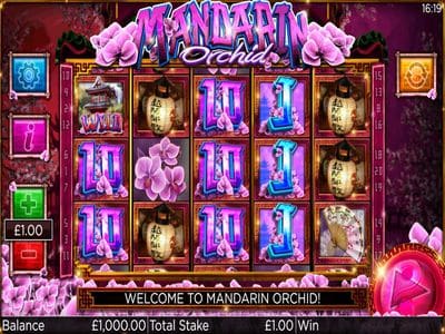 Mandarin Orchid screenshot