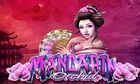 Mandarin Orchid slot game