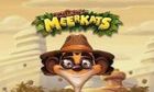 Meet the Meerkats slot game