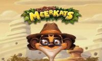 Meet the Meerkats by Push Gaming