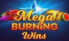 Mega Burning Wins slot game