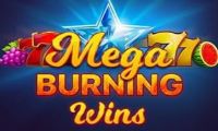 Mega Burning Wins slot by Playson
