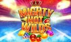 Mighty Hot Wilds slot game