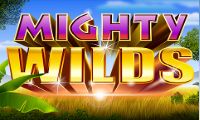Mighty Wilds by Ainsworth Games
