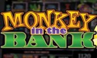 Monkey In The Bank by Amaya