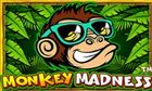 Monkey Madness slot game