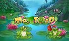 Mr Toad slot game