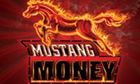 Mustang Money slot game