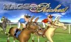 Nags To Riches slot game