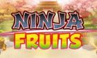 Ninja Fruits slot game