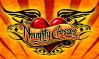 Noughty Crosses by Cryptologic