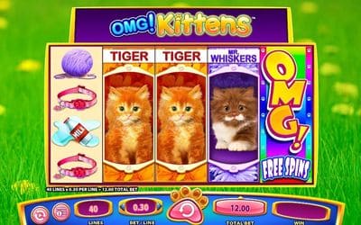Omg Kittens screenshot