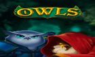 Owls slot game