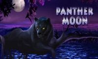 Panther Moon slot by Playtech