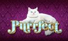 Purrfect slot game