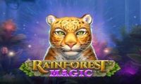Rainforest Magic slot by PlayNGo