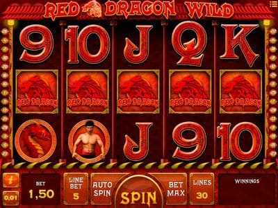 Red Dragon Wild screenshot