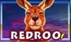 Redroo slot game