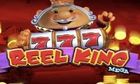 Reel King Mega slot game