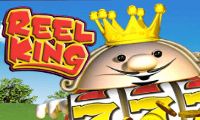 Reel King slot by Novomatic